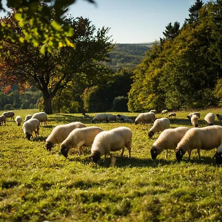 Grosszuegige Ferienwohnung Am Stadtrand Von Appartement Fulde