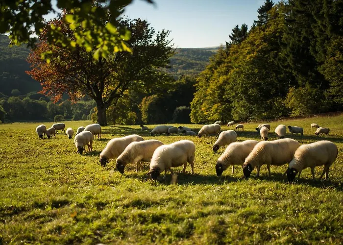 Grosszuegige Am Stadtrand Von Apartament Fulda